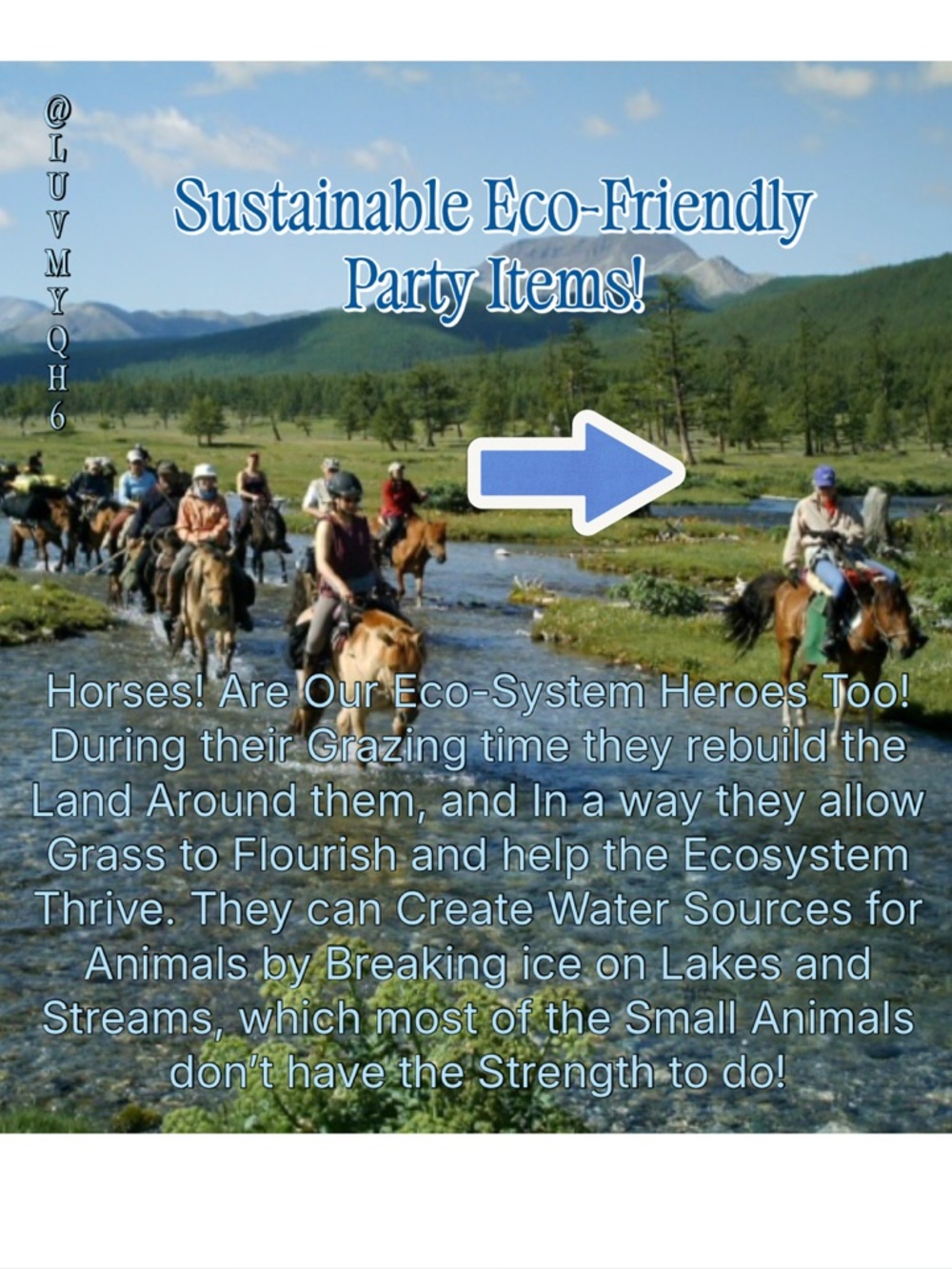 Sustainable Eco-Friendly Party Items
